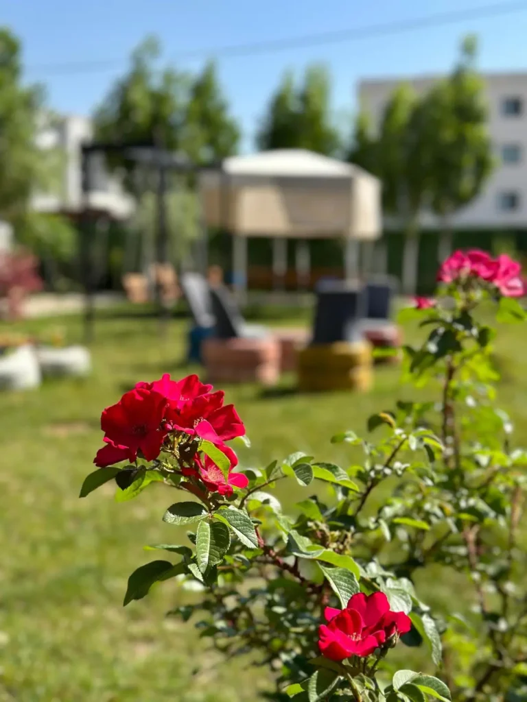 Mardin engelli bakım merkezi hobi bahçesi